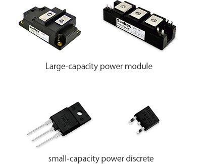 Large-capacity power module, small-capacity power discrete