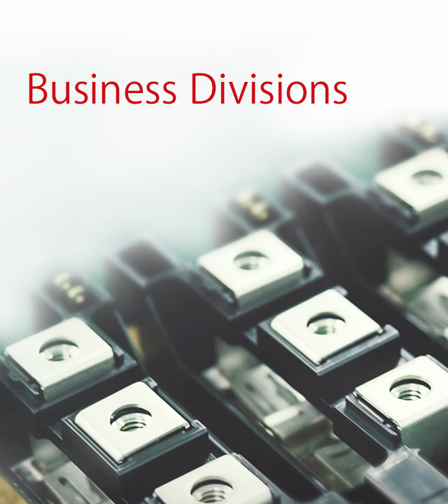 Business Divisions