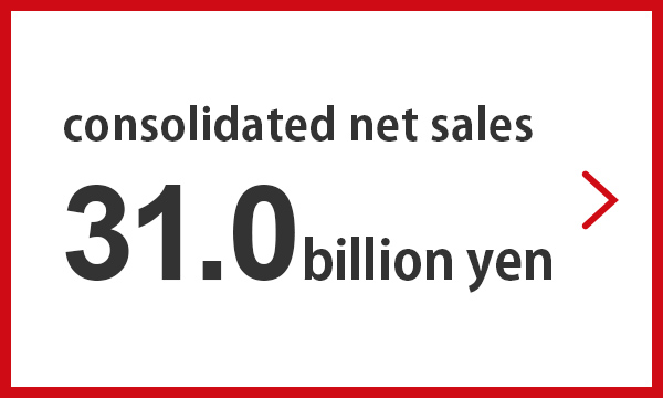 consolidated net sales 31.0 billion yen