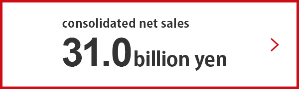 consolidated net sales 31.0 billion yen