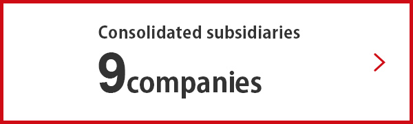  Consolidated subsidiaries 9 companies